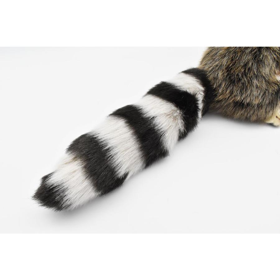 BH4248 アライグマ HANSA　あらいぐま くま ぬいぐるみ リアル | HANSA（ぬいぐるみ） | 06