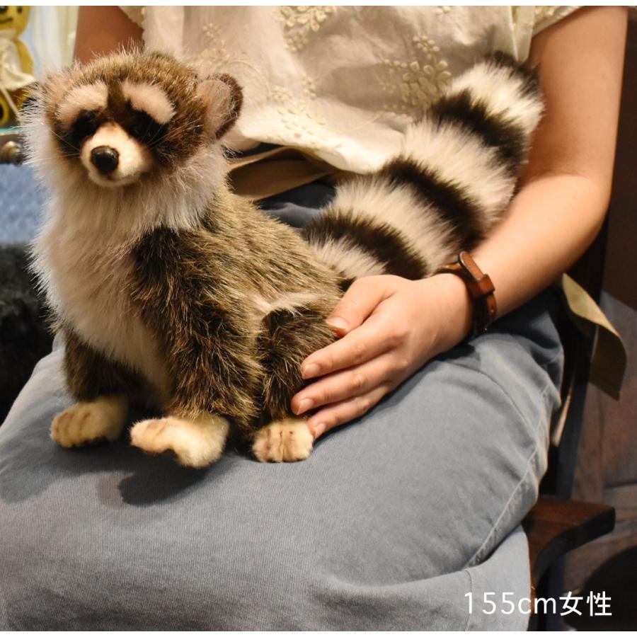 BH4248 アライグマ HANSA　あらいぐま くま ぬいぐるみ リアル | HANSA（ぬいぐるみ） | 07