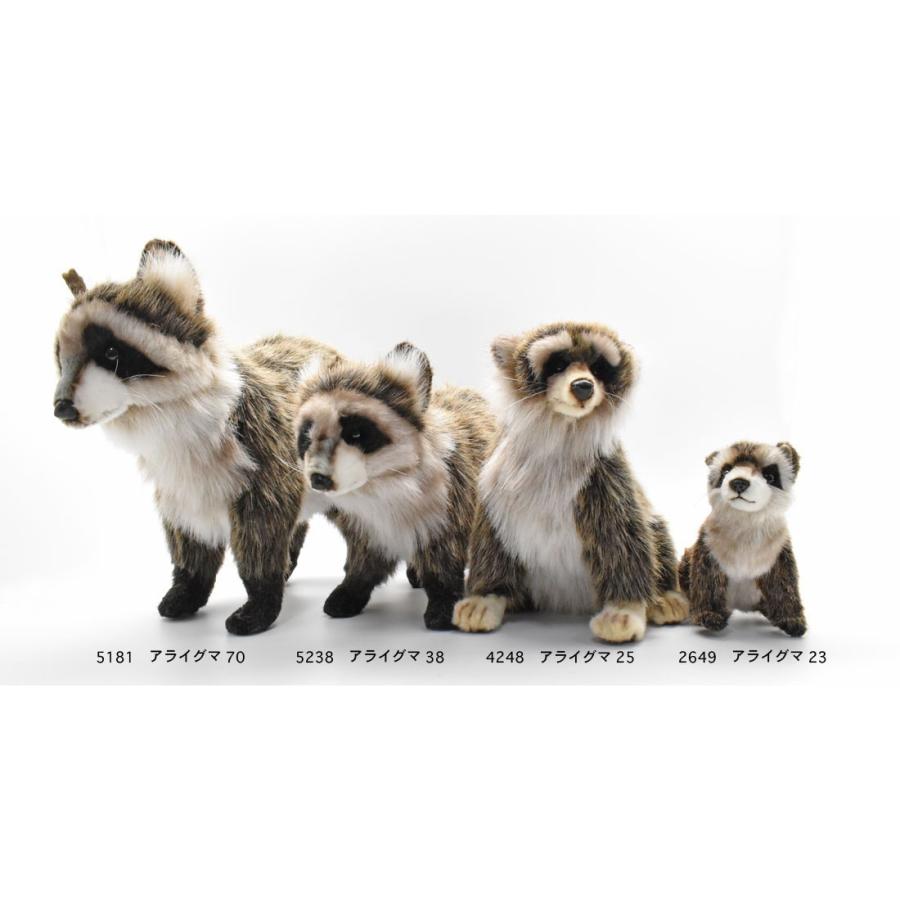 BH4248 アライグマ HANSA　あらいぐま くま ぬいぐるみ リアル | HANSA（ぬいぐるみ） | 09