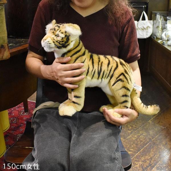 BH4264 トラ 仔 HANSA　とら 虎 タイガー こども 子供 ぬいぐるみ リアル | HANSA（ぬいぐるみ） | 07