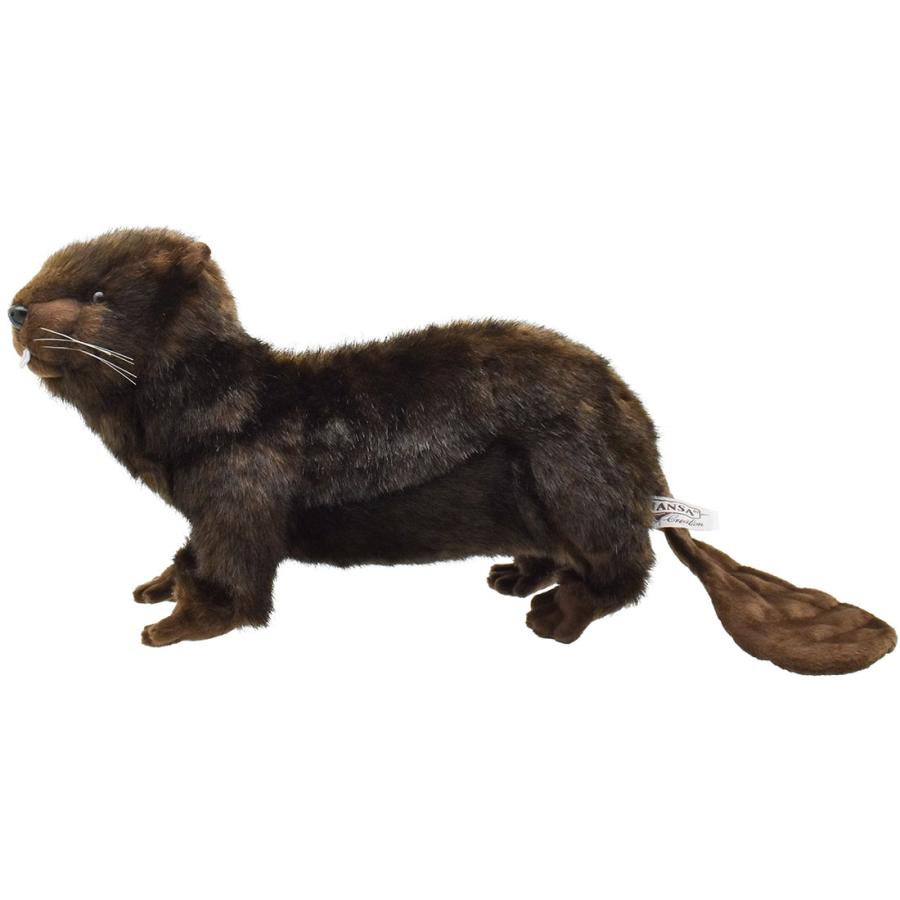 【ぴっかぴかぁ】 dearbear_4274