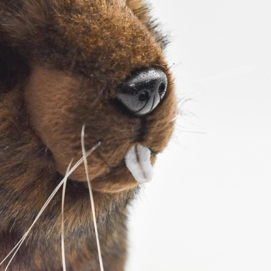 BH4274 ビーバー HANSA　びーばー 海狸 ぬいぐるみ リアル | HANSA（ぬいぐるみ） | 07