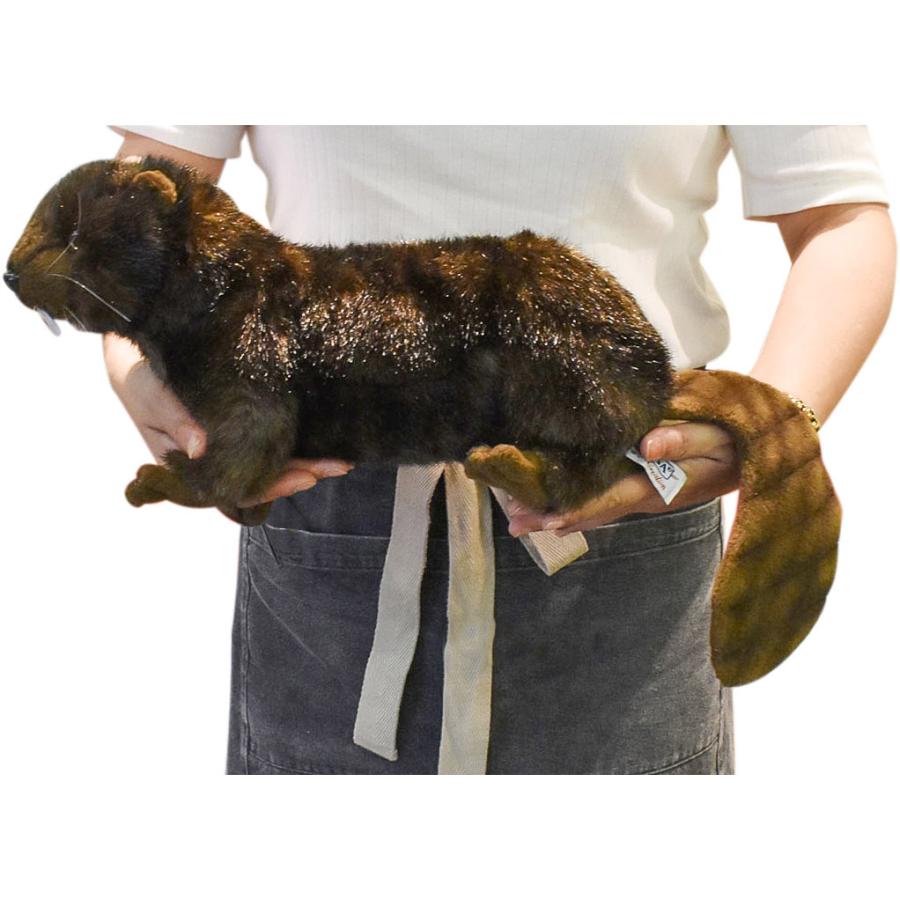 BH4274 ビーバー HANSA　びーばー 海狸 ぬいぐるみ リアル | HANSA（ぬいぐるみ） | 08