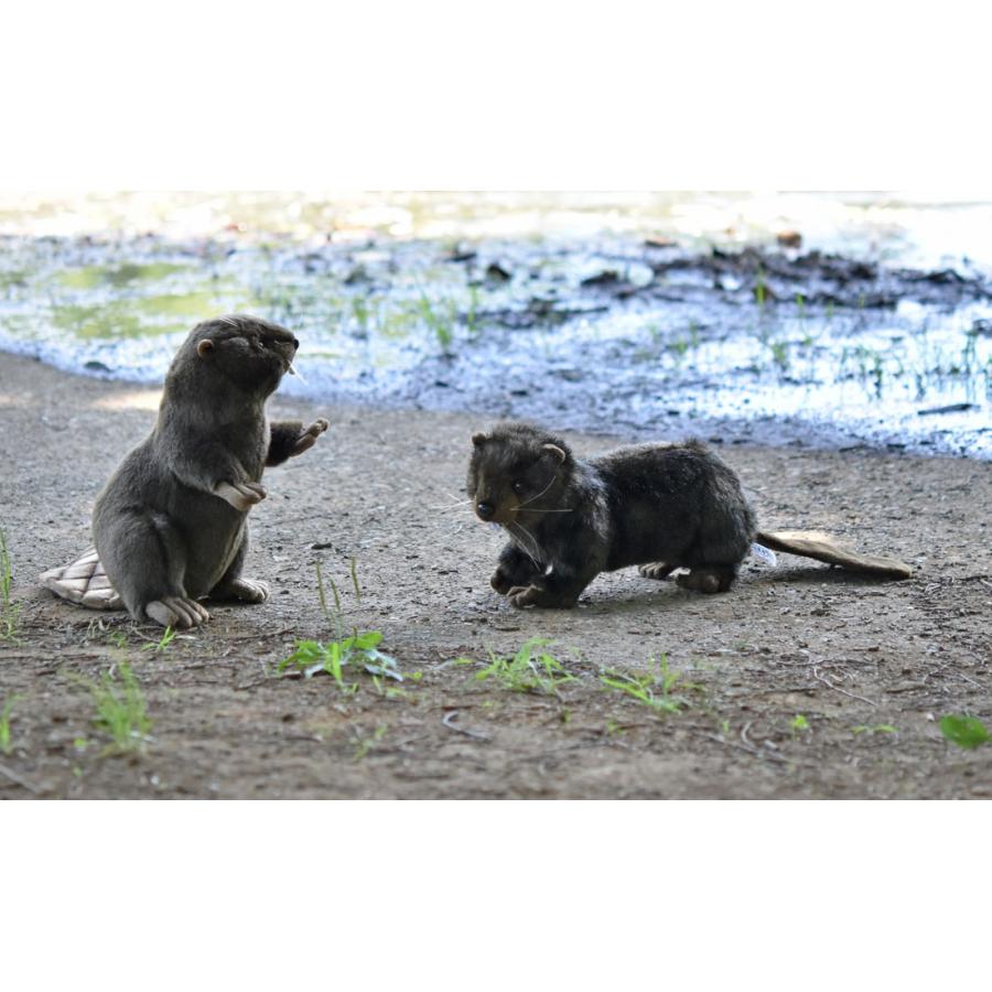 Hansa ハンサ ビーバー 4274 リアル 動物 ぬいぐるみ 4274 Dear Bear 通販 Yahoo ショッピング
