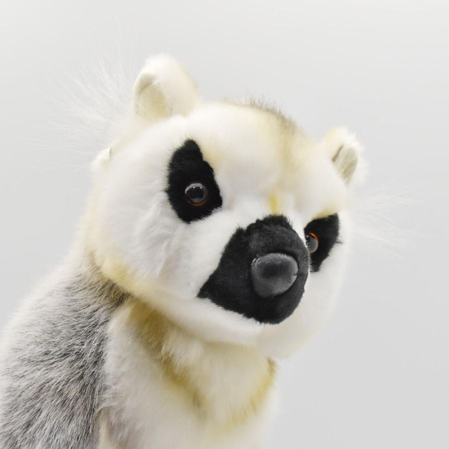 BH4332 ワオキツネザル HANSA　わおきつねざる 輪尾狐猿 さる サル 猿 ぬいぐるみ リアル | HANSA（ぬいぐるみ） | 03