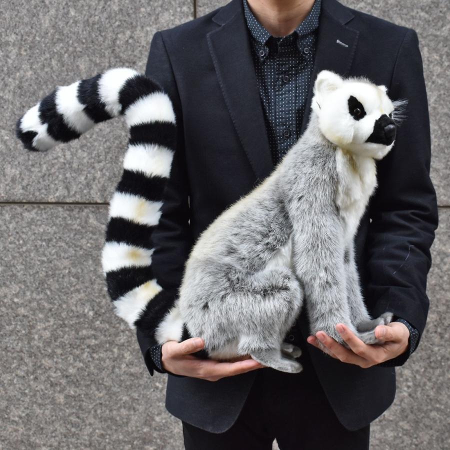 BH4332 ワオキツネザル HANSA　わおきつねざる 輪尾狐猿 さる サル 猿 ぬいぐるみ リアル | HANSA（ぬいぐるみ） | 08