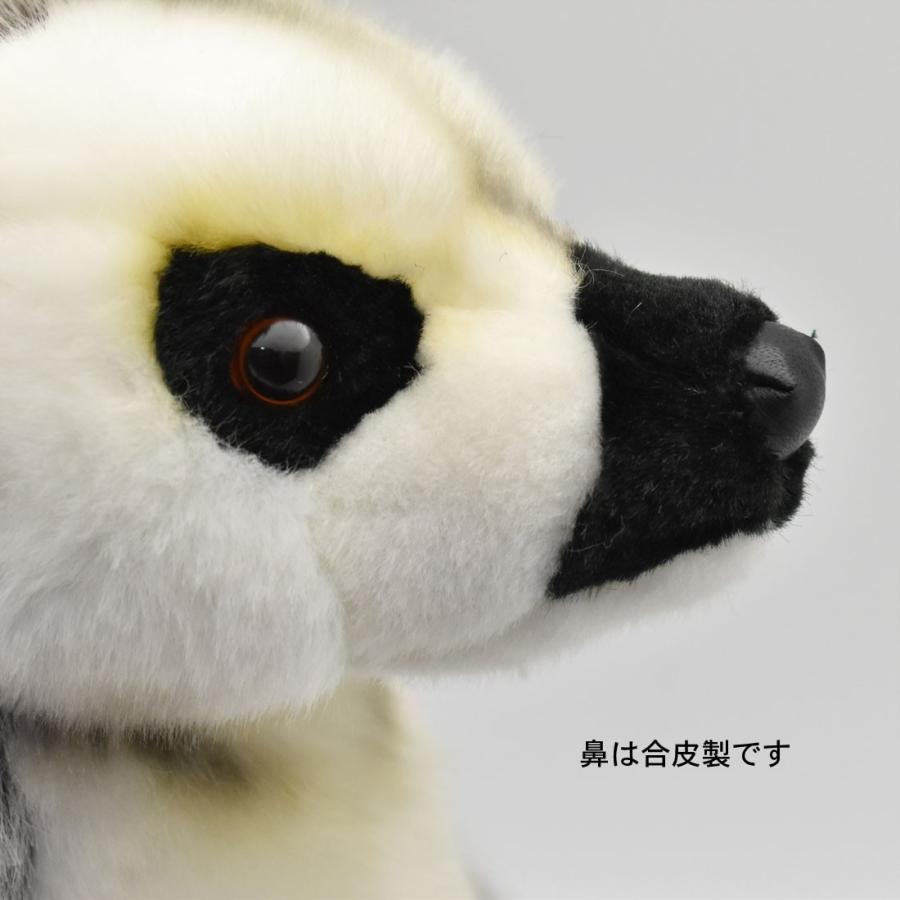 BH4333 ワオキツネザル HANSA　わおきつねざる 輪尾狐猿 さる サル 猿 ぬいぐるみ リアル | HANSA（ぬいぐるみ） | 06