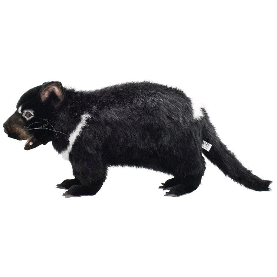 BH4383 タスマニアデビル HANSA　たすまにあでびる フクロアナグマ ふくろあなぐま ぬいぐるみ リアル | HANSA（ぬいぐるみ） | 01