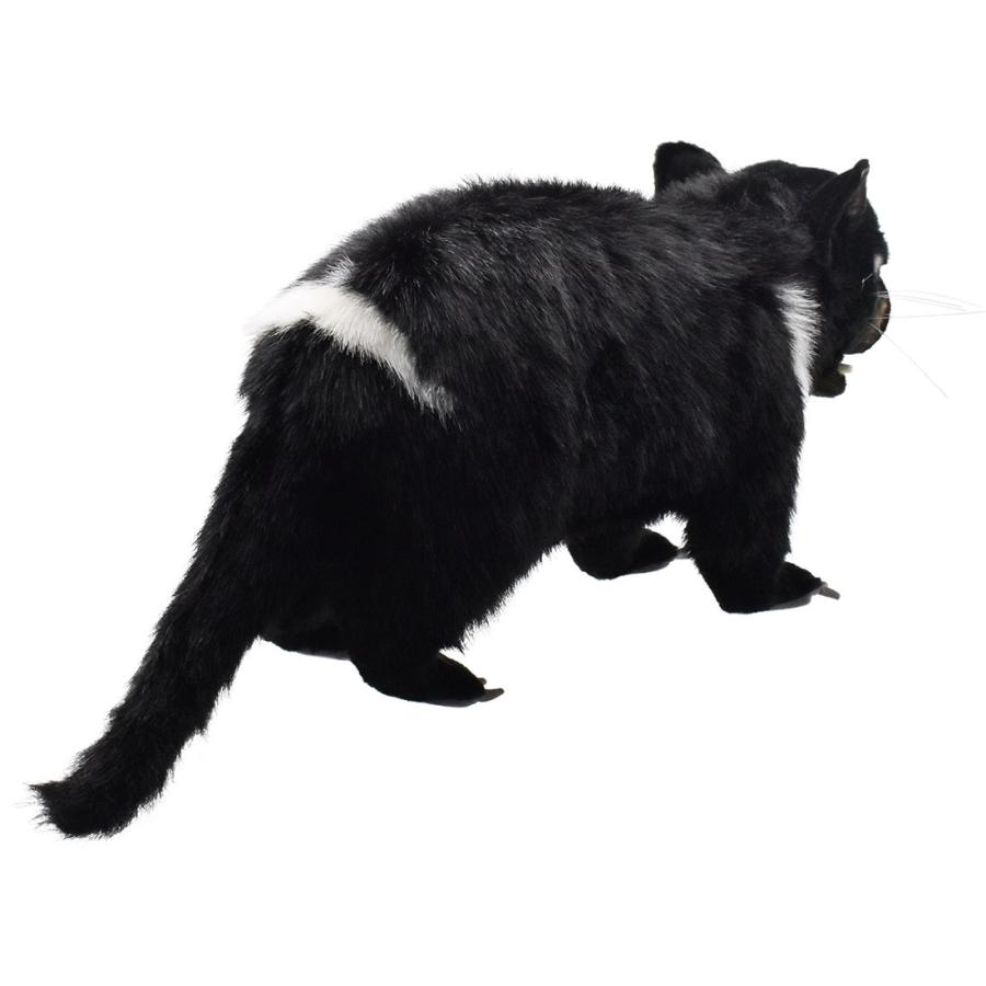 BH4383 タスマニアデビル HANSA　たすまにあでびる フクロアナグマ ふくろあなぐま ぬいぐるみ リアル | HANSA（ぬいぐるみ） | 02