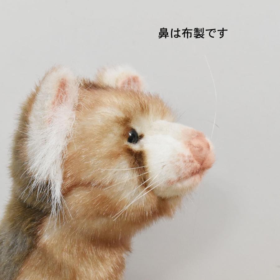 BH4556 フェレット HANSA　ふぇれっと ぬいぐるみ リアル | HANSA（ぬいぐるみ） | 06