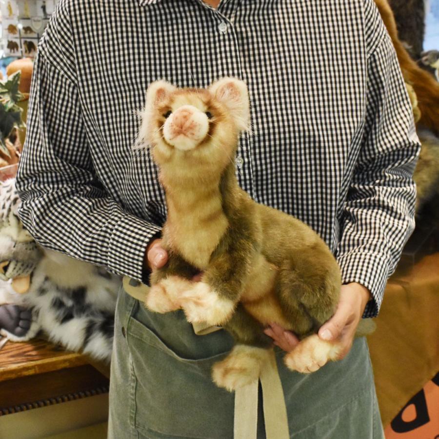 BH4556 フェレット HANSA　ふぇれっと ぬいぐるみ リアル | HANSA（ぬいぐるみ） | 07