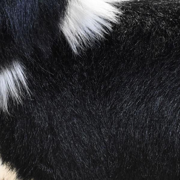 BH4563 ボーダーコリー HANSA　ぼーだーこりー いぬ イヌ 犬 ぬいぐるみ リアル | HANSA（ぬいぐるみ） | 04