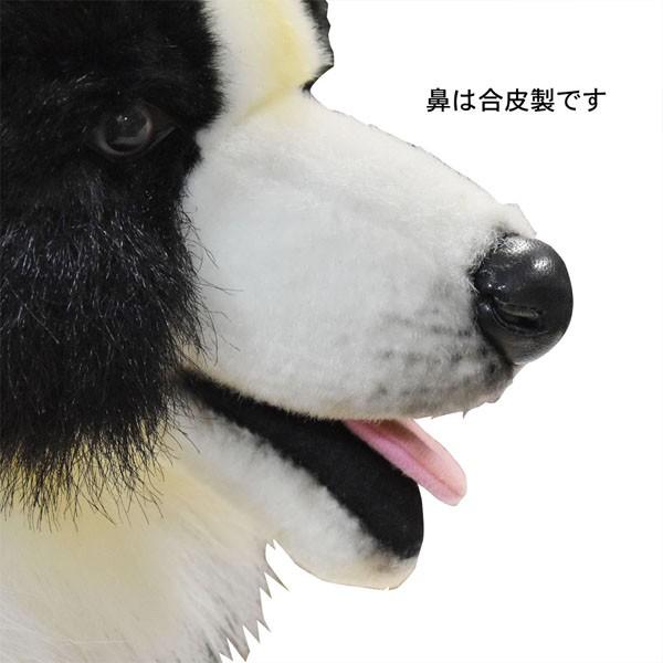 BH4563 ボーダーコリー HANSA　ぼーだーこりー いぬ イヌ 犬 ぬいぐるみ リアル | HANSA（ぬいぐるみ） | 06