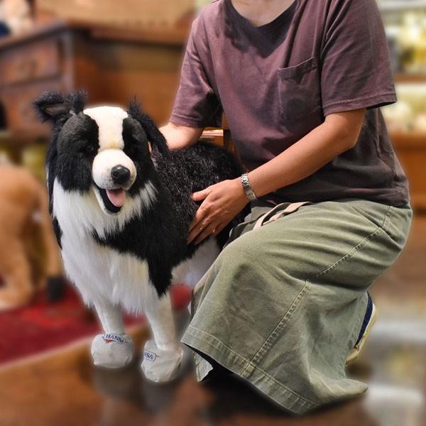 BH4563 ボーダーコリー HANSA　ぼーだーこりー いぬ イヌ 犬 ぬいぐるみ リアル | HANSA（ぬいぐるみ） | 07