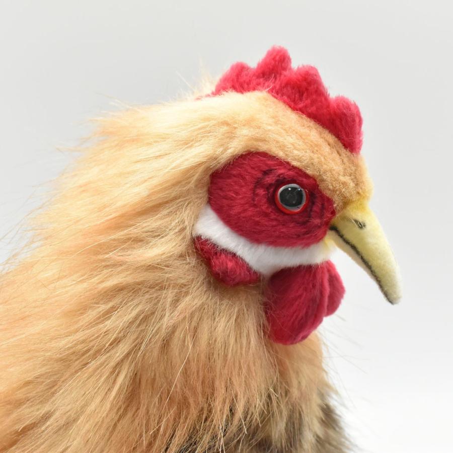 BH4588 ベージュメンドリ HANSA　めんどり とり トリ 鳥 ぬいぐるみ リアル | HANSA（ぬいぐるみ） | 03