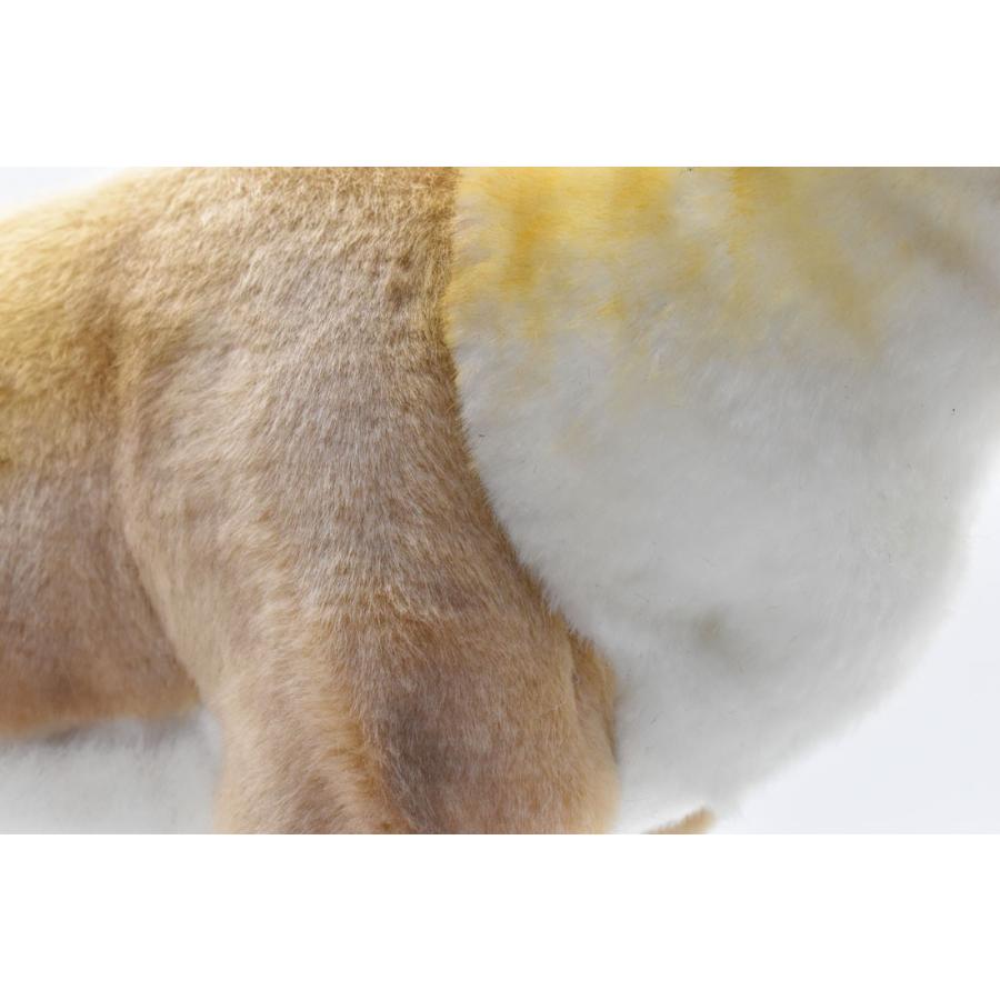 BH4589 トナカイ HANSA　となかい 馴鹿 ぬいぐるみ リアル | HANSA（ぬいぐるみ） | 04