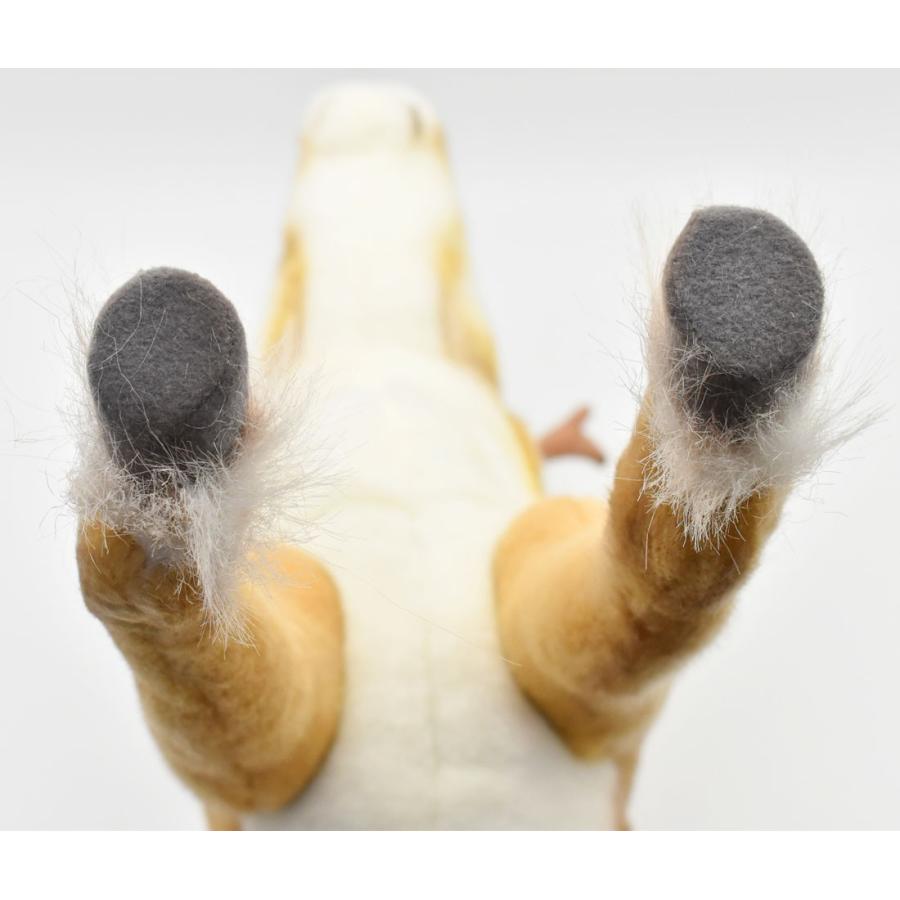 BH4589 トナカイ HANSA　となかい 馴鹿 ぬいぐるみ リアル | HANSA（ぬいぐるみ） | 06