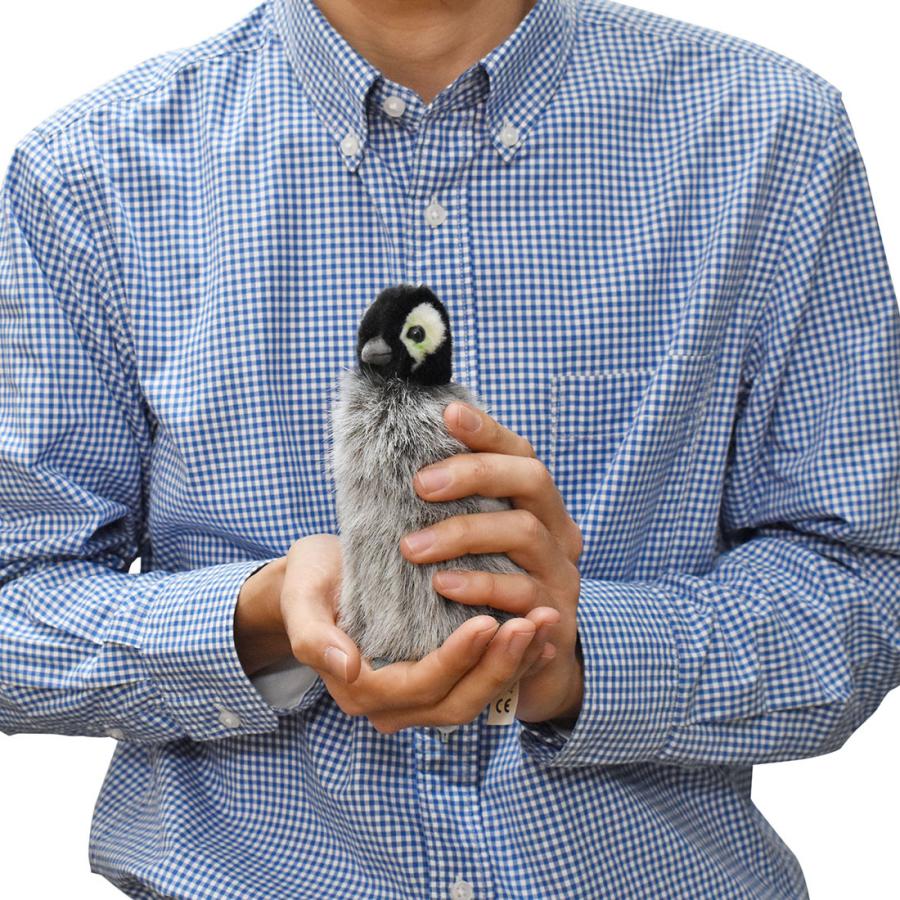 BH4669 コウテイペンギン 仔 HANSA　こうていぺんぎん 皇帝ペンギン こども 子供 ぬいぐるみ リアル | HANSA（ぬいぐるみ） | 06