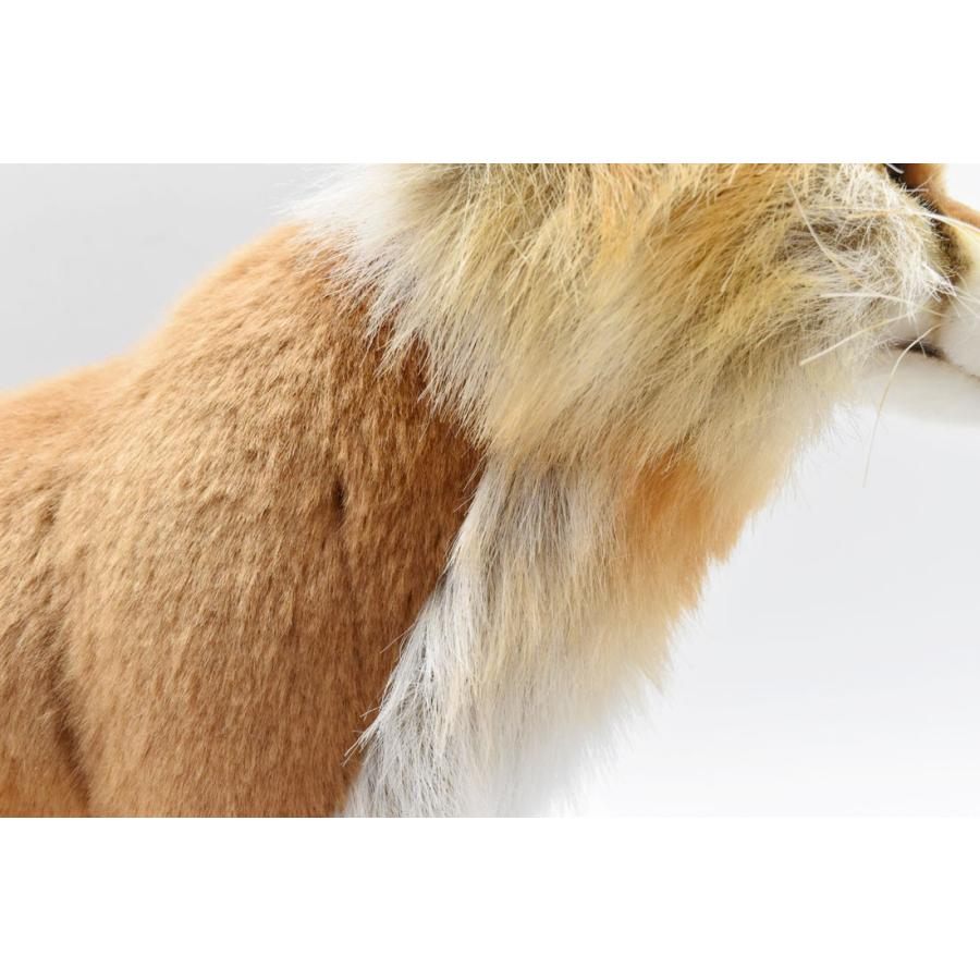 BH4699 アカギツネ HANSA　キツネ きつね 狐 ぬいぐるみ リアル | HANSA（ぬいぐるみ） | 04