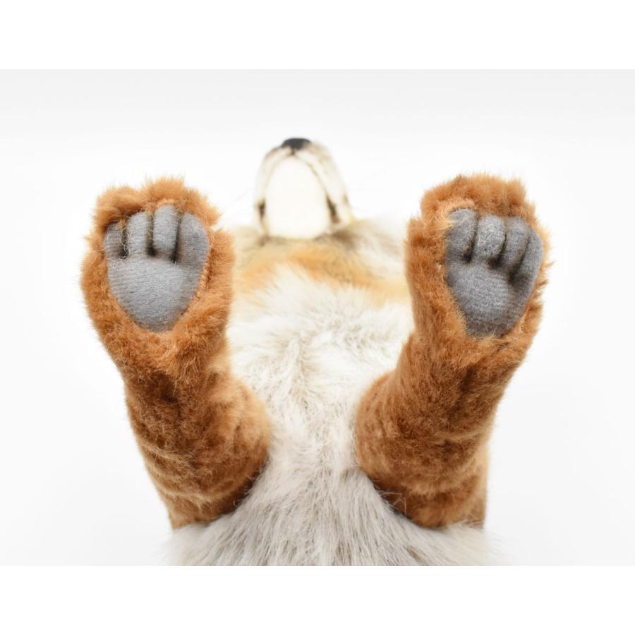 BH4699 アカギツネ HANSA　キツネ きつね 狐 ぬいぐるみ リアル | HANSA（ぬいぐるみ） | 05