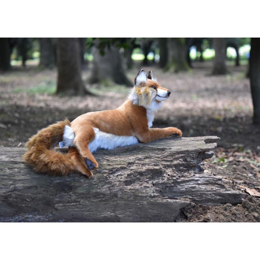 HANSA BH4765 アカギツネ キツネ きつね 狐 ぬいぐるみ リアル : Dear