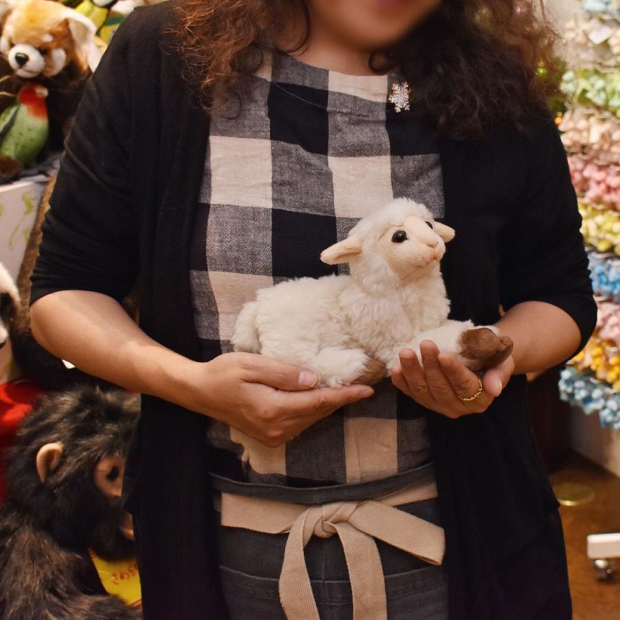 HONO BEAR ひつじ 羊 作家 アーティスト 棚瀬 保野 HONO BEAR Profile テディベア・アーティストミュージアム