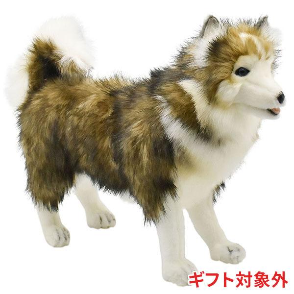 Hansa ハンサ シベリアン ハスキー 犬 44 ギフト対象外 リアル 動物 ぬいぐるみ プレゼント ギフト 44 Dear Bear 通販 Yahoo ショッピング