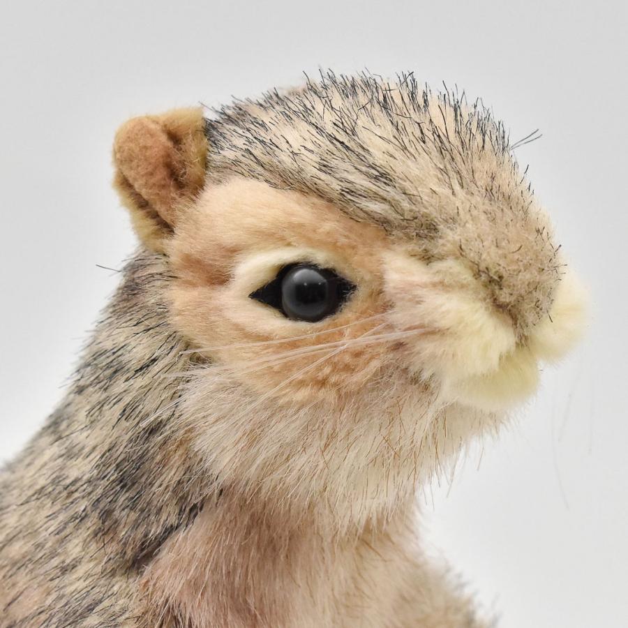 HANSA（ぬいぐるみ） BH4841 ハイイロリス HANSA はいいろりす