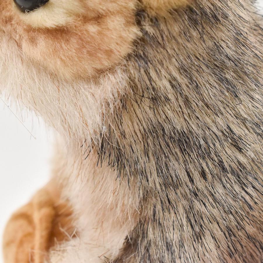 BH4841 ハイイロリス HANSA　はいいろりす 栗鼠 ぬいぐるみ リアル | HANSA（ぬいぐるみ） | 05