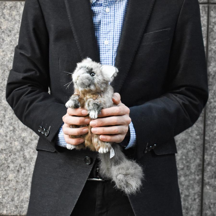 HANSA BH4844 チンチラ ちんちら ぬいぐるみ リアル : Dear Bear WEB