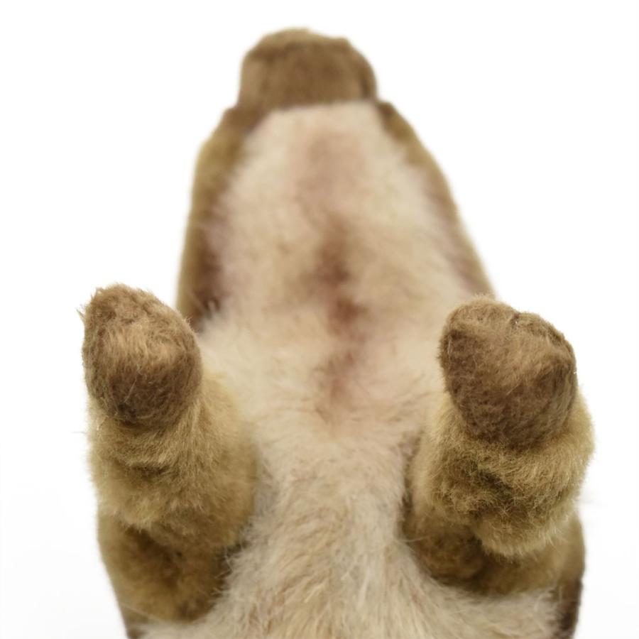 BH4853 イノシシ 仔 HANSA　いのしし 猪 こども 子供 ぬいぐるみ リアル | HANSA（ぬいぐるみ） | 05