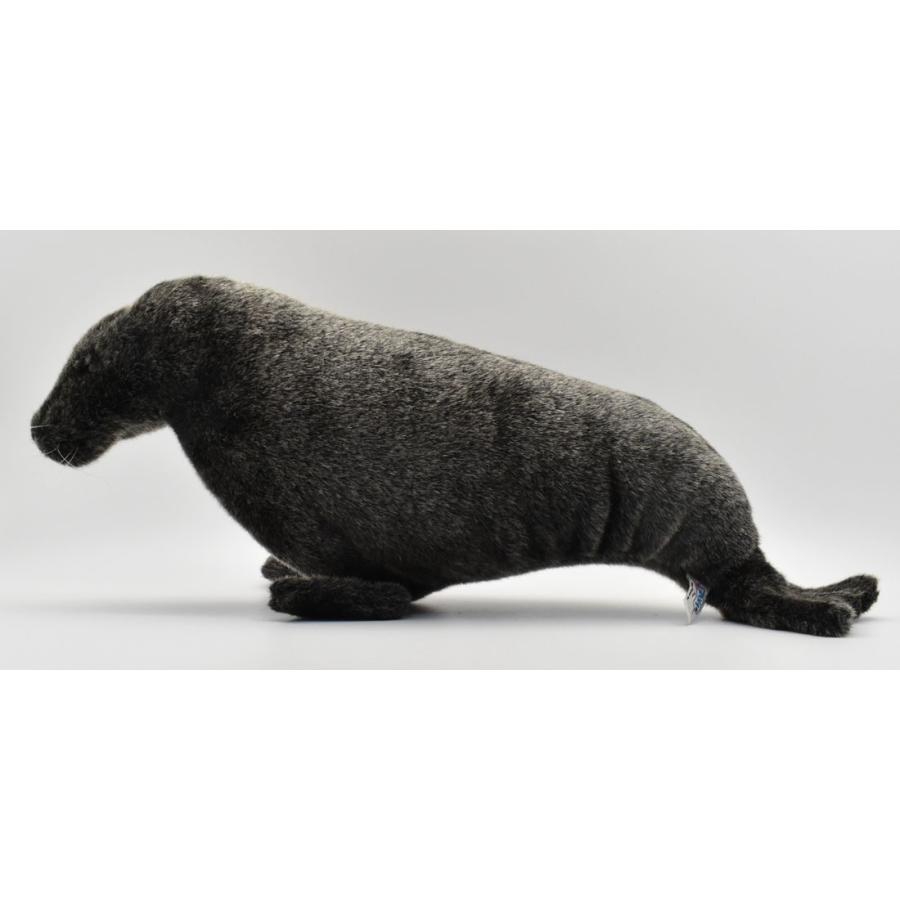 BH4901 アシカ HANSA　あしか ぬいぐるみ リアル | HANSA（ぬいぐるみ） | 01