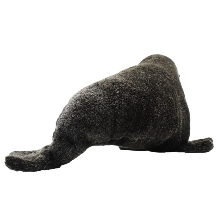 BH4901 アシカ HANSA　あしか ぬいぐるみ リアル | HANSA（ぬいぐるみ） | 02