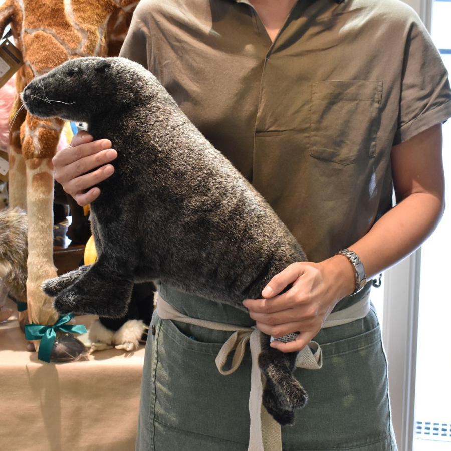 BH4901 アシカ HANSA　あしか ぬいぐるみ リアル | HANSA（ぬいぐるみ） | 07