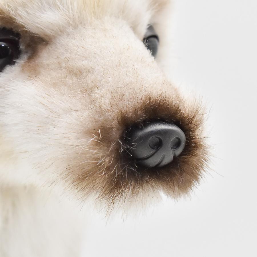 BH4928 ブチハイエナ HANSA　ぶちはいえな ぬいぐるみ リアル | HANSA（ぬいぐるみ） | 06