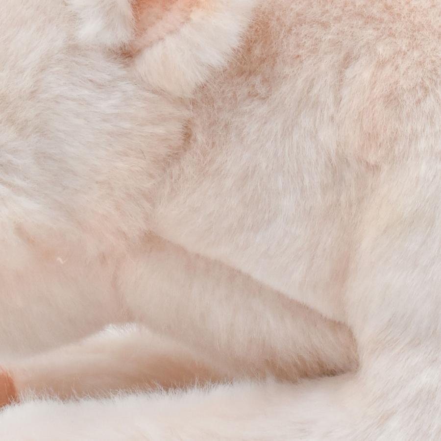 BH4944 ブタ HANSA　ぶた 豚 ぬいぐるみ リアル | HANSA（ぬいぐるみ） | 04