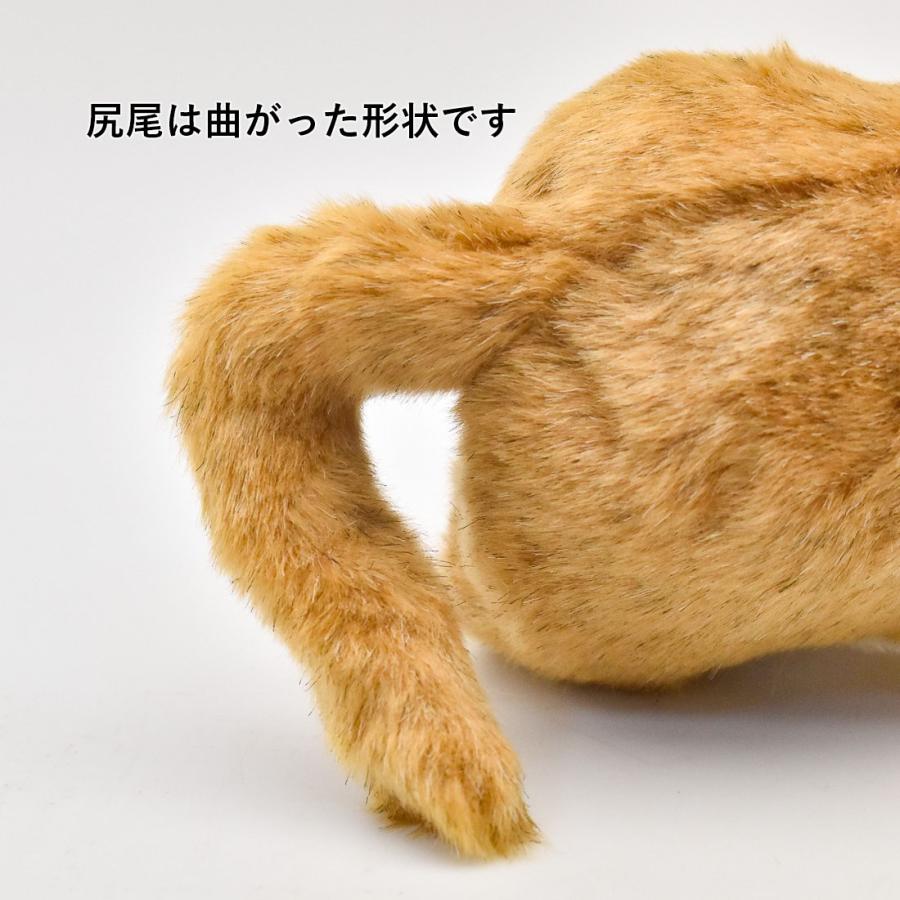 BH4994 ライオン 仔 HANSA　らいおん こども 子供 ぬいぐるみ リアル 爆買 母の日 | HANSA（ぬいぐるみ） | 08