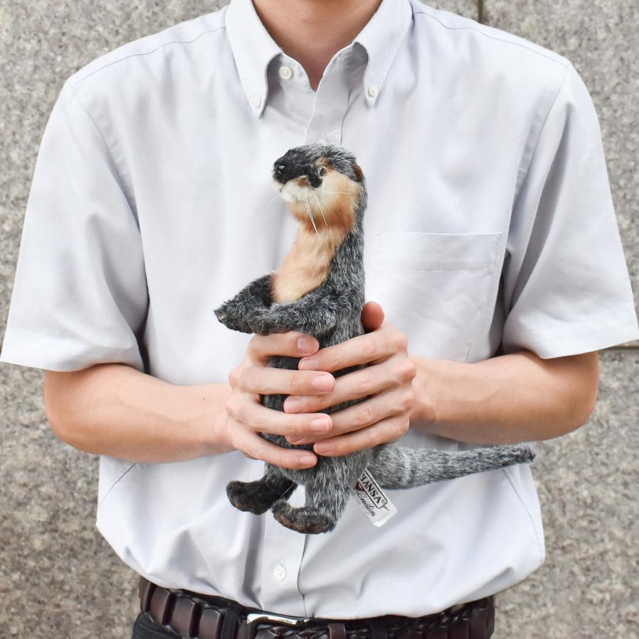 HANSA BH5087 カワウソ 獺 かわうそ ぬいぐるみ リアル : Dear Bear