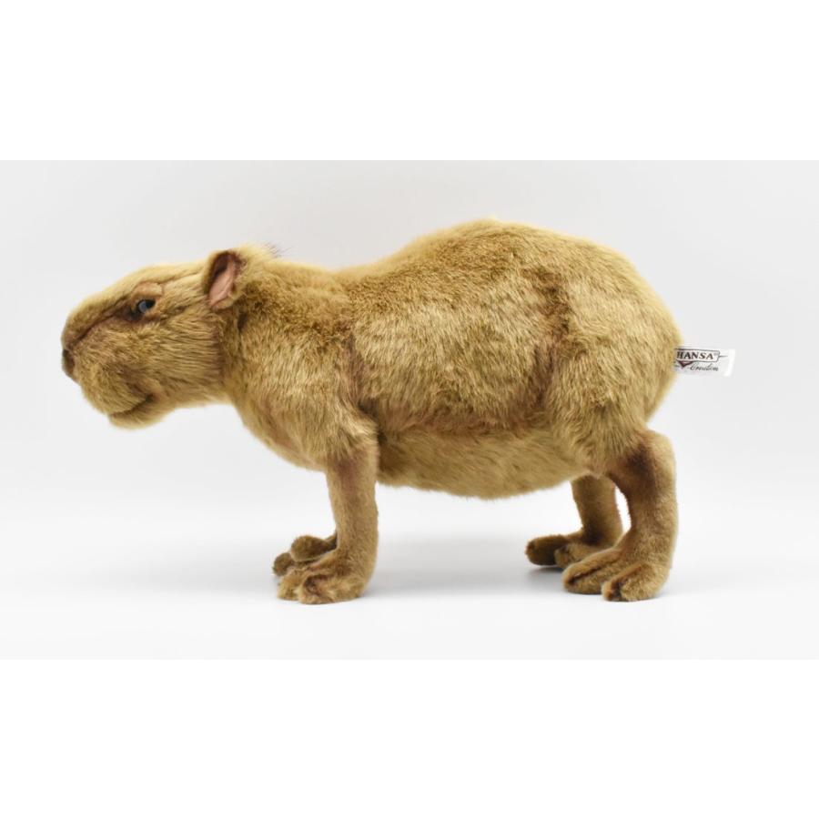 BH5125 カピバラ HANSA　かぴばら 水豚 ぬいぐるみ リアル | HANSA（ぬいぐるみ） | 01