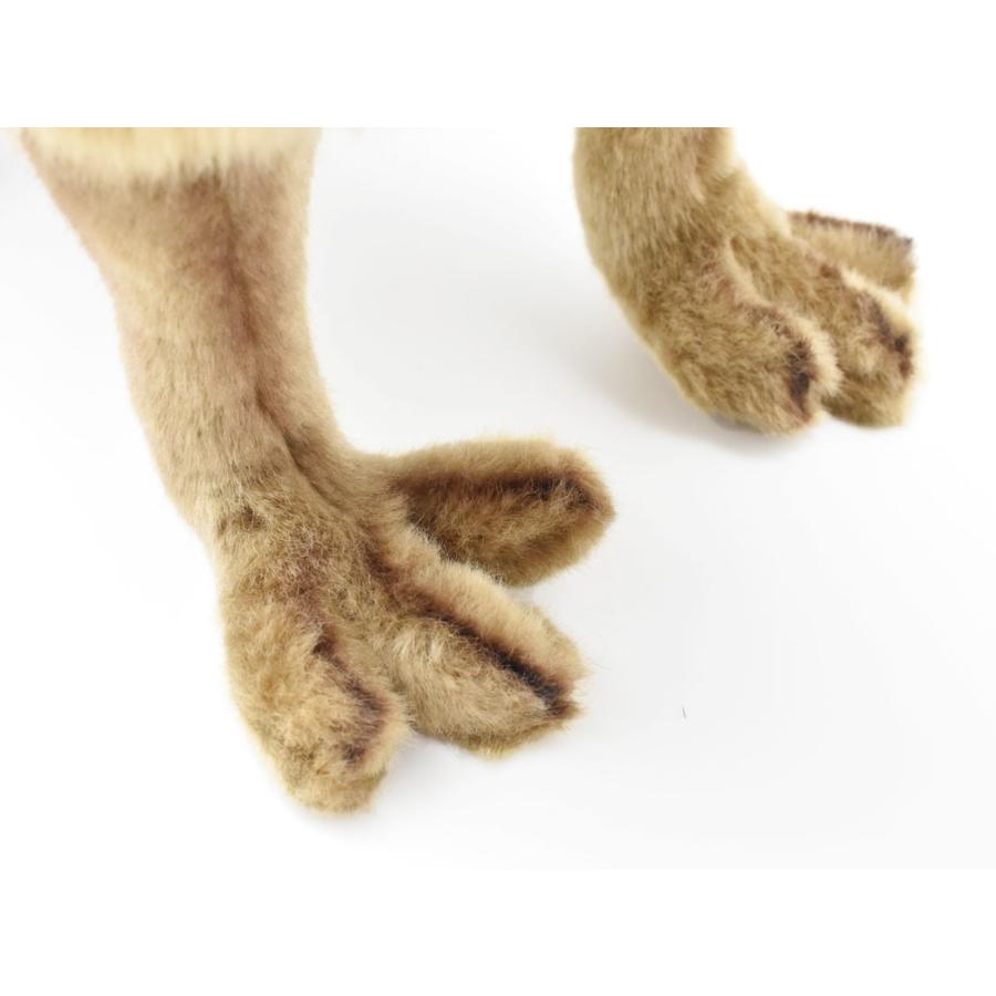 BH5125 カピバラ HANSA　かぴばら 水豚 ぬいぐるみ リアル | HANSA（ぬいぐるみ） | 06