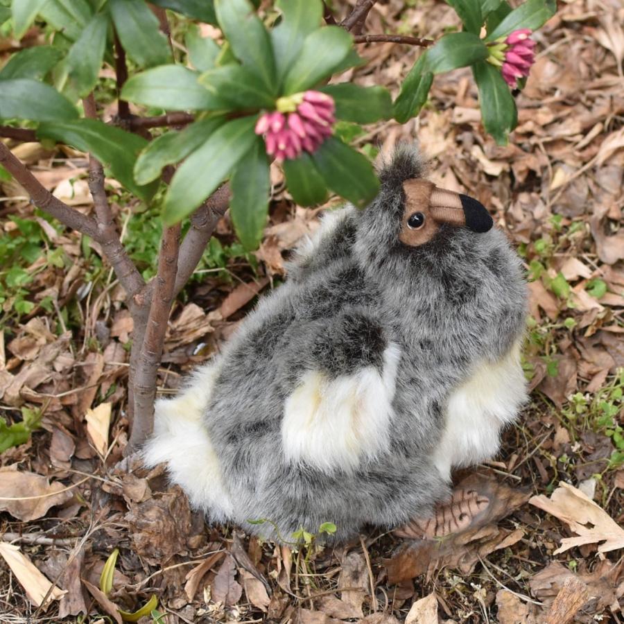 ロンドン自然史博物館ドードーのぬいぐるみ ワイルドリパブリック WILD REPUBLIC ぬいぐるみ ドードー 18696