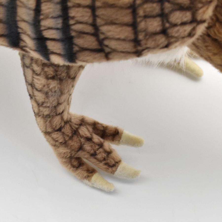 BH5160 オオアルマジロ HANSA　おおあるまじろ ぬいぐるみ リアル | HANSA（ぬいぐるみ） | 05