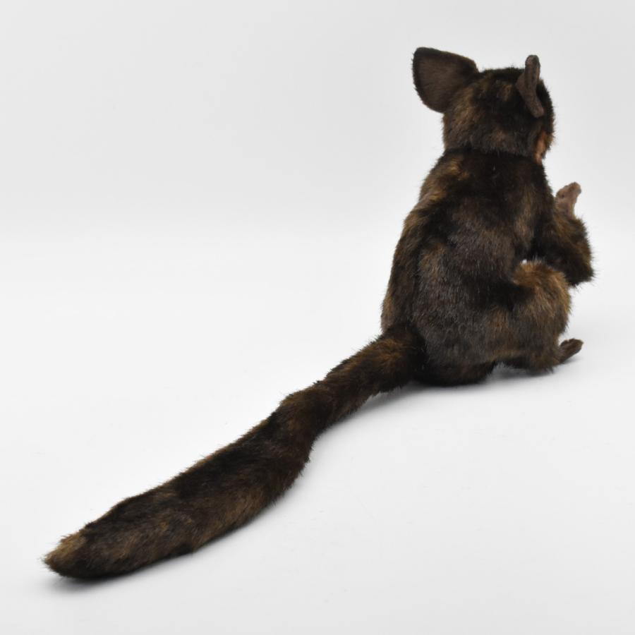 BH5166 アイアイ HANSA　あいあい さる サル 猿 ぬいぐるみ リアル | HANSA（ぬいぐるみ） | 02