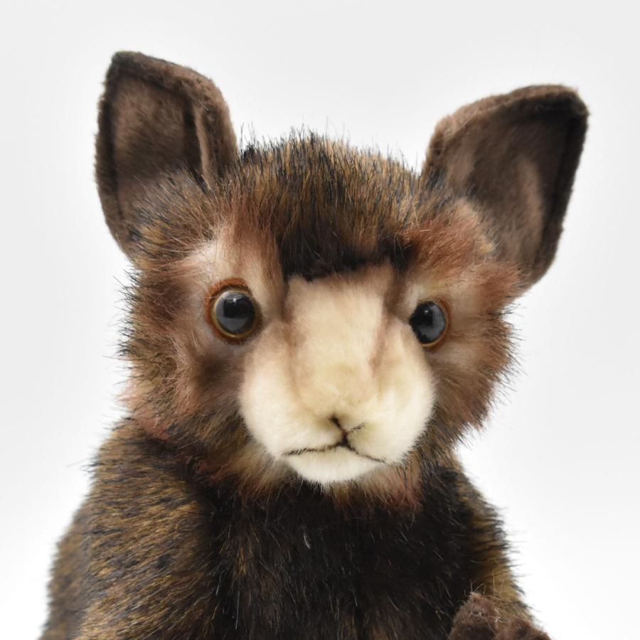 BH5166 アイアイ HANSA　あいあい さる サル 猿 ぬいぐるみ リアル | HANSA（ぬいぐるみ） | 03