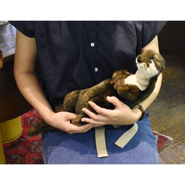 HANSA BH5167 カワウソ かわうそ 獺 ぬいぐるみ リアル 爆買 母の日