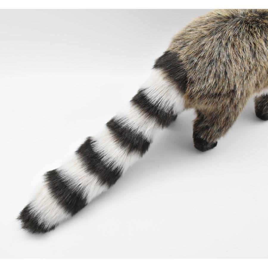 BH5181 アライグマ HANSA　あらいぐま くま ぬいぐるみ リアル | HANSA（ぬいぐるみ） | 06