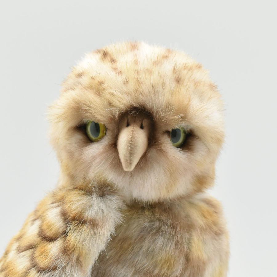 BH5203 アナフクロウ HANSA　あなふくろう 梟 とり トリ 鳥 ぬいぐるみ リアル | HANSA（ぬいぐるみ） | 03