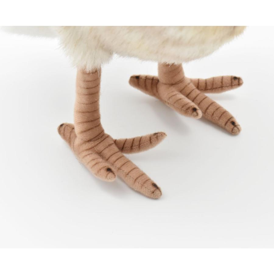 BH5203 アナフクロウ HANSA　あなふくろう 梟 とり トリ 鳥 ぬいぐるみ リアル | HANSA（ぬいぐるみ） | 05