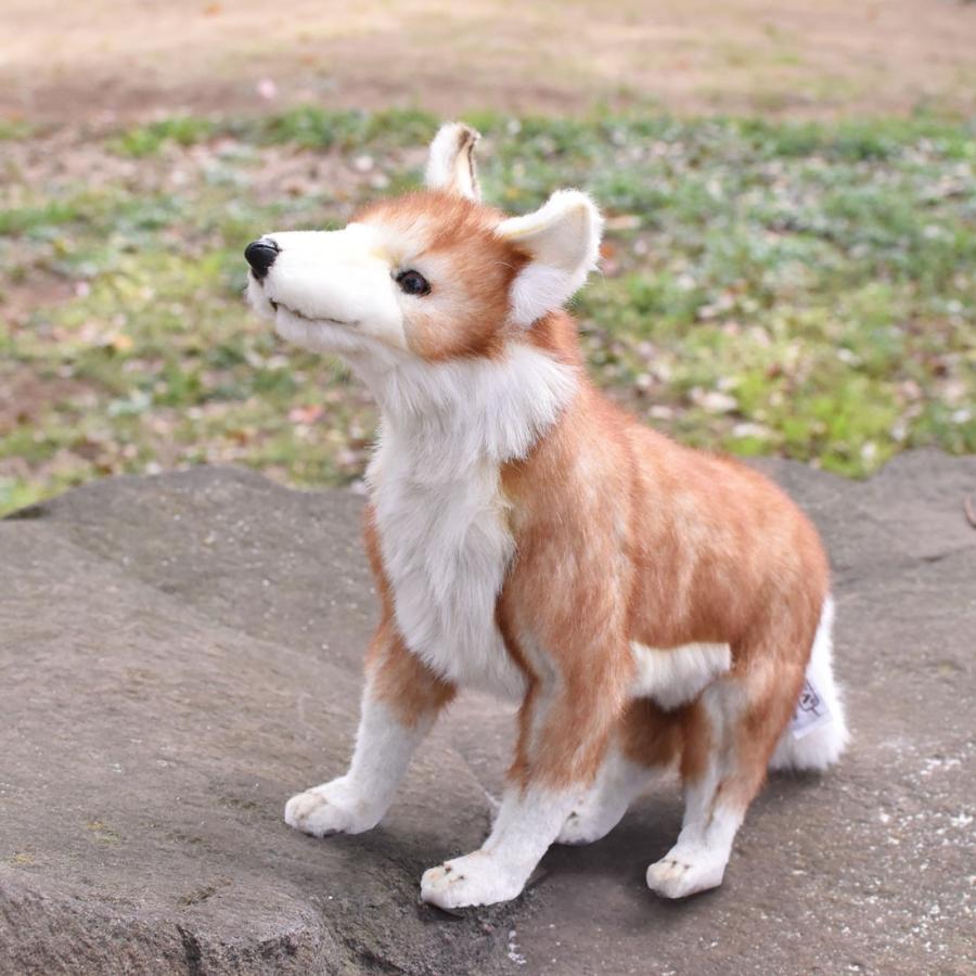 BH5207 コヨーテ HANSA　こよーて ぬいぐるみ リアル | HANSA（ぬいぐるみ） | 10