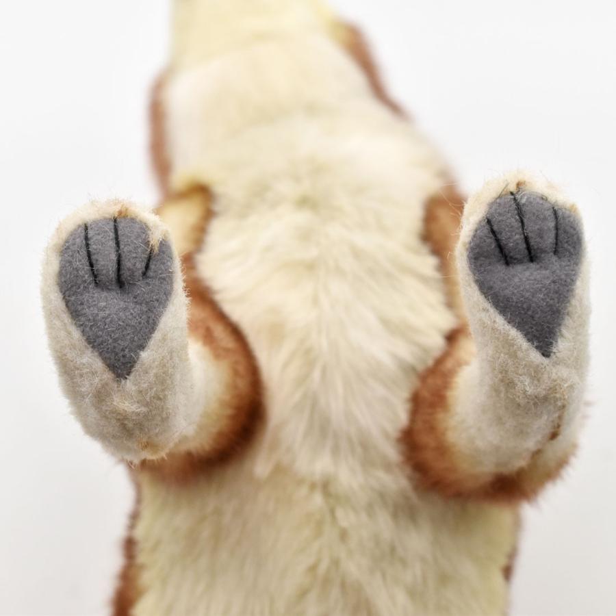 BH5207 コヨーテ HANSA　こよーて ぬいぐるみ リアル | HANSA（ぬいぐるみ） | 05